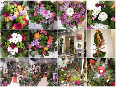 Fleuriste - Experiences Des Medias Sociaux