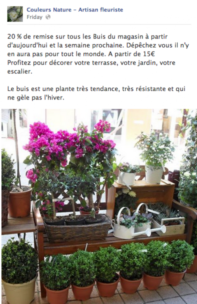 Fleuriste - Experiences Des Medias Sociaux