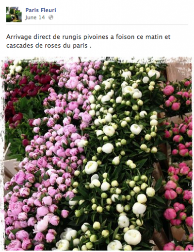 Fleuriste - Experiences Des Medias Sociaux