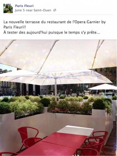 Fleuriste - Experiences Des Medias Sociaux